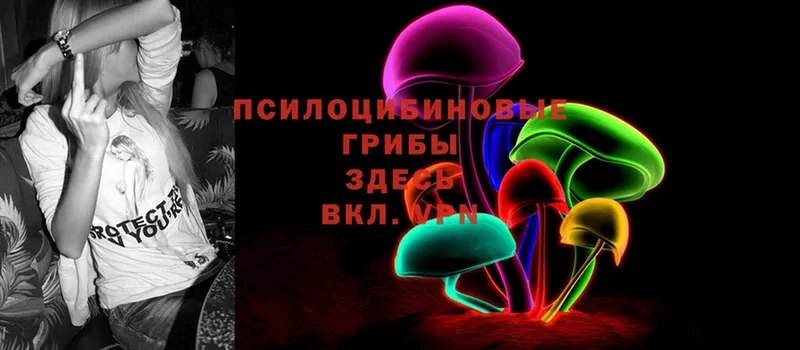 MEGA маркетплейс  Очёр  Псилоцибиновые грибы Psilocybe 